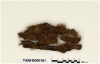 藏品(粗疣苔)的圖片